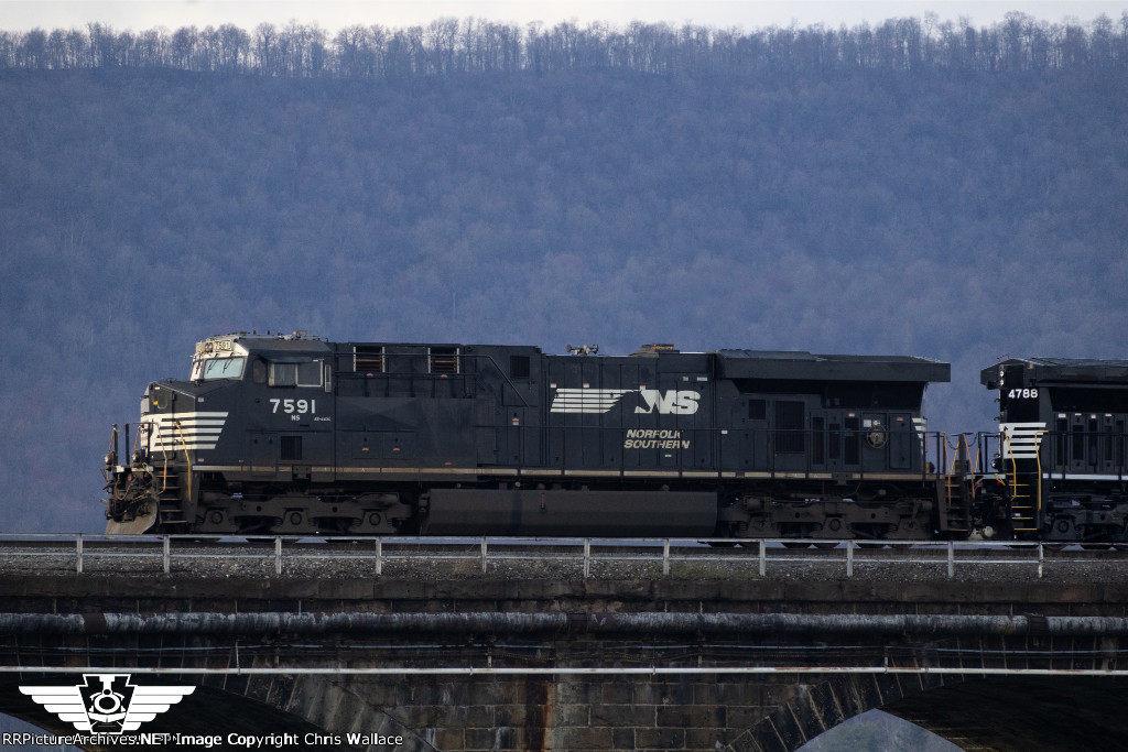 NS 7591